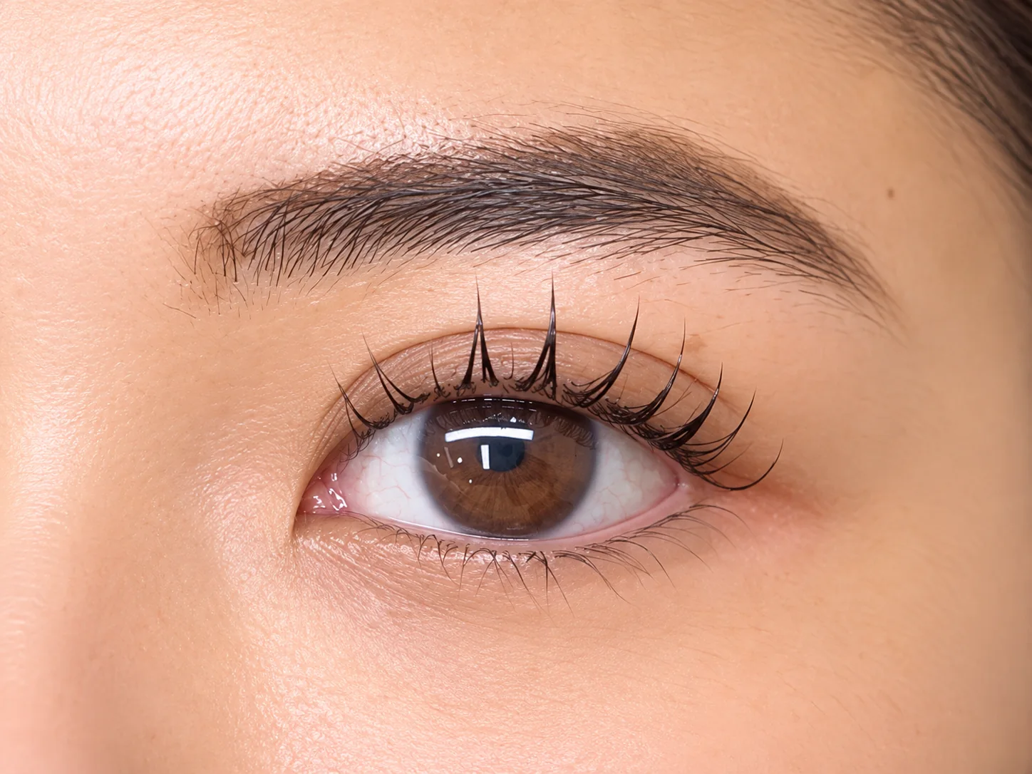 Lash lift at TOEYLY